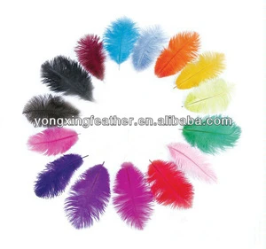 all color cheap ostrich feather for DIY decoration