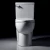 Import American Standard Ceramic Washdown Two Piece S-Trap Toilets from China