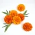 Import Aromatherapeutic 100% Natural Marigold Hydrosol from India