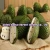 Import ATTRACTIVE FRESH SOURSOP WITH VERY COMPETITIVE PRICE from Vietnam