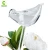 Import Automatic Glass Watering Globe, Self Watering Tools for Flowers from China
