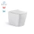 Import Bathroom top brands design floor mounted toilet pan with conceal cistern 2057B from China