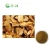 Import Best Selling Burdock Root Powder 100% Natural Plant Extract Traditional Herbal Extract from China