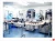 Import BIOBASE High Blanking Frequency Blister Packing Machine For  Medical Using from China