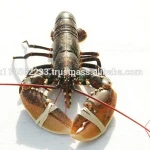 Blue European lobster