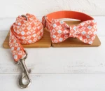Bowtie Pet Collar with Leash Set