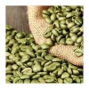 Brazilian green arabica coffee bean price of raw coffee
