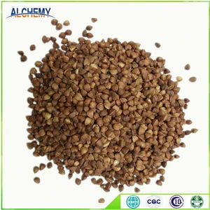 Buckwheat and good quality Chinese buckwheat for selling