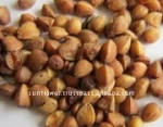 Buckwheat
