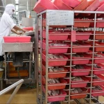 Canned fish tuna