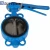 Import Cast Iron Soft Sealing Butterfly Valve Wafer Manual from China
