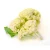 Import Cauliflower flour  Fresh Green leaf Vegetables Healthy Cauliflower from China