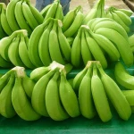 Cavendish Banana for sale