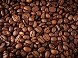 Certified Authentic Civet Coffee Roasted Whole Beans