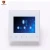 Import CH1861 Blue tooth Remote Control Intelligent Home Background Music Wall Amplifier from China