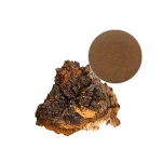 Chaga water & alcohol mushroom extract 10% Beta-glucan+4% Triterpenes private label organic USDA EEC Kosher products