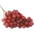 Import Chile Grown Fruit Green Grapes SEEDLESS Robinson Fresh MOQ 18 Lbs Quick Delivery in US from USA