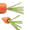 China Fresh Carrot For cooking
