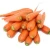 Import China Fresh Carrot For cooking from China