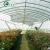 Import China Simple cheap  beautiful garden green house from China