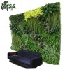CHINA SUPPLIER PLASTIC GRASS WALL HOME DECORATIVE ARTIFICIAL PLANT WALL PANELS