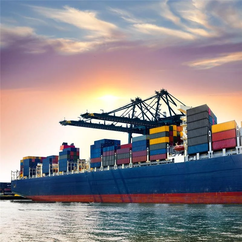china to Dubai freight forwarder ship container by sea