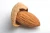 Import Chinese badam almond in shell with QS standard from China