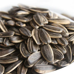 Chinese sunflower seeds by roasted
