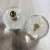 Import Chinese Suppliers High Quality 70 MM shift knob Flower gear shift knob dandelion inside Decorating giftcar shift knob from China
