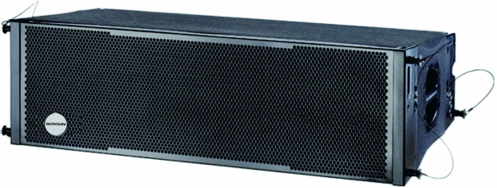 Column Line Array Speaker Dual 12 Inch Speakers Audio System Sound Professional With Digital Audio Processor And Uhf Microphone