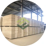 construction material/prefab house/eps foam sandwich