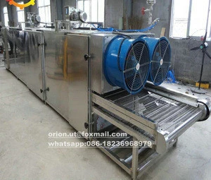 Continuous Electric Nut Roasting Machine, Automatic Sunflower Seeds Coffee Bean Nut Roaster