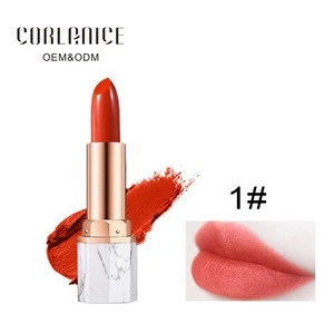 Cosmetic makeup brand waterproof Lipstick matte cheap Lipstick