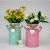 Creative Color Decor Wedding  Home handle Gardening  Metal Iron Flower Pot  Bucket Planter