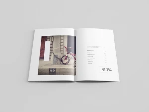 Custom Cheap Advertising Flyers Brochure Leaflet Booklet Catalogue Printing