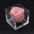 Import Custom eco friendly mini desk acrylic plastic square transparent flower pot from China