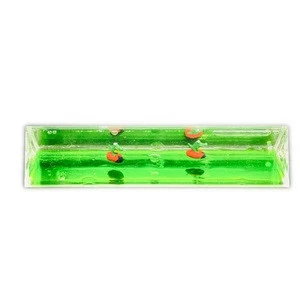 Custom Liquid Water Triangular Scale Ruler Green Oil with 3D Floater