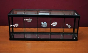 custom made mini glass betta fish aquarium fish tank with decorations and ornaments