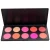 Import Custom makeup blusher, pink blush, blush palette 10 colors from China