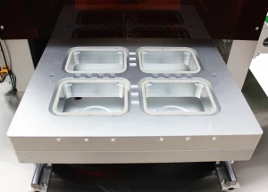 custom mold Tray sealing /Skin Vacuum Packaging Machine Cashew Nut
