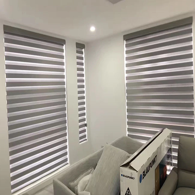 Customized size zebra blinds roller curtain double roller blinds