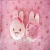 Import Cute cartoon seals clean gloves chenille cloth household hand wipe clean towel from China