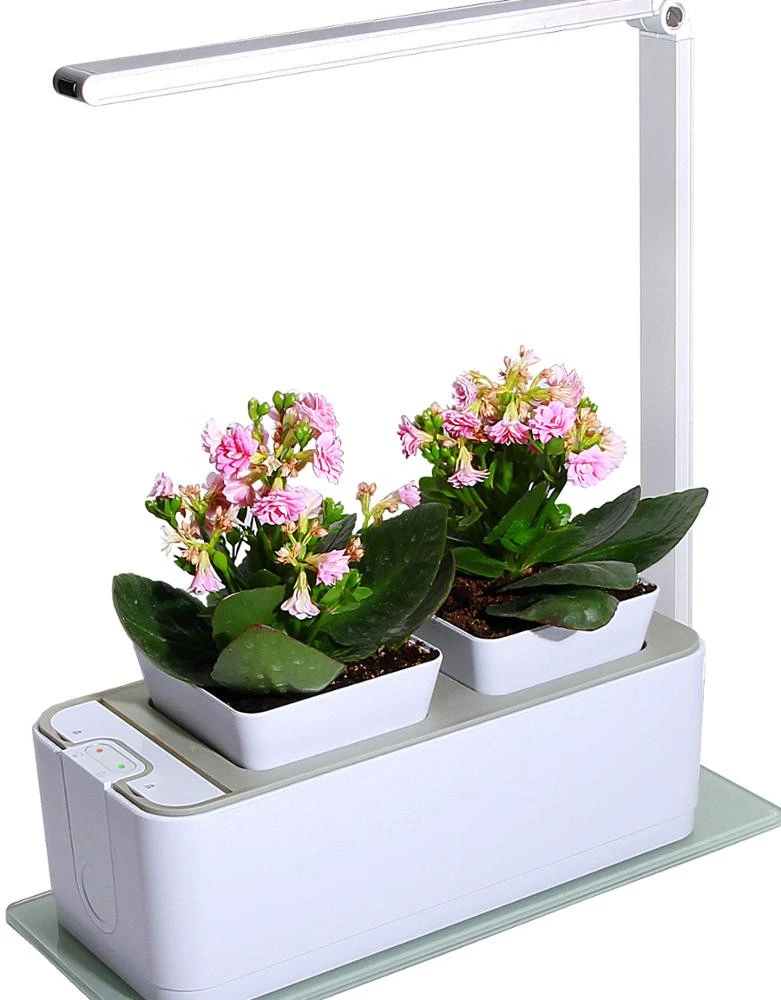 decorative table home decoration indoor organic hydroponic growing systems mini smart home garden with LED growing light