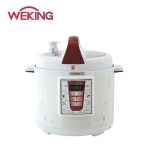 Digital Pressure cooker
