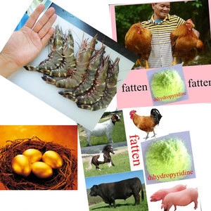 Dihydropyridine Best Poultry Fish Pig Cattle Sheep Feed Additives