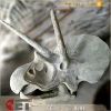 dinosaur skull model life size dinosaur skeleton for dinosaur