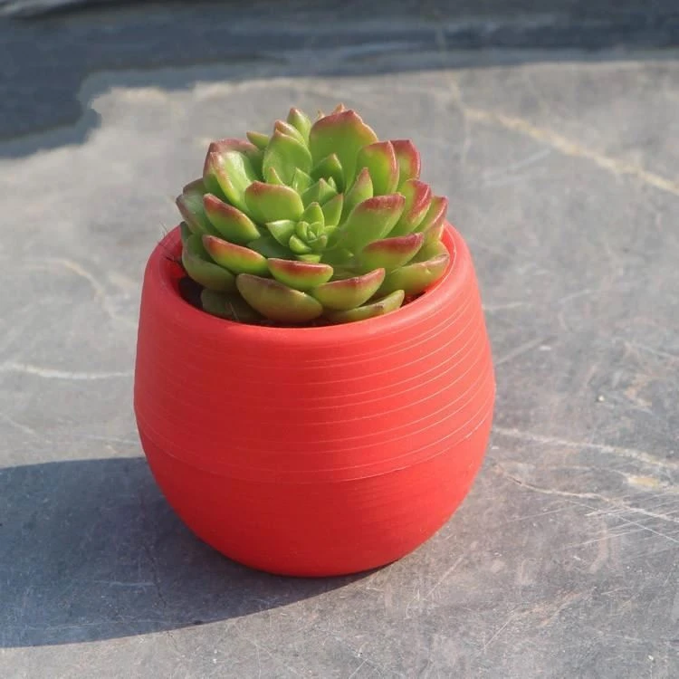 Disassembly Combination Plastic Mini Plant Flower Pot