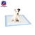 Import Disposable clean up puppy training mats from China