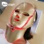 Import Distributors agents required pdt red led light mask for face whitening from China