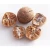 Import Dried Indonesia High Quality Whole / Half Betel Nuts Areca catechu / Areca nuts for sale from Brazil